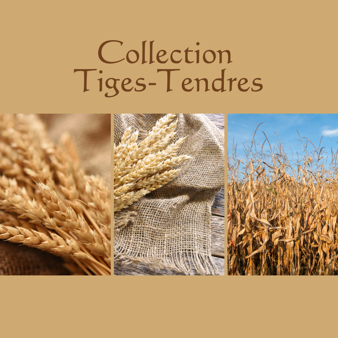 Tiges-Tendres